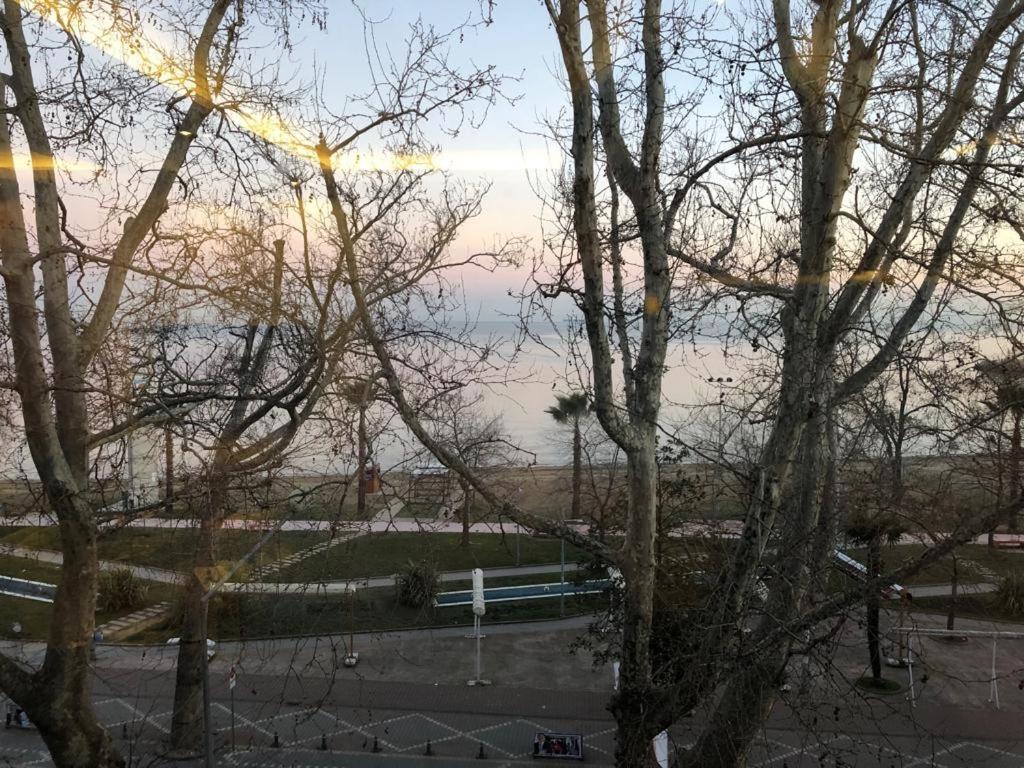 Yalova_Merkez Yalova  Zewnętrze zdjęcie