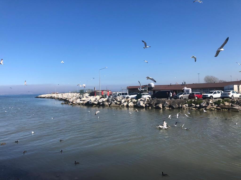 Yalova_Merkez Yalova  Zewnętrze zdjęcie